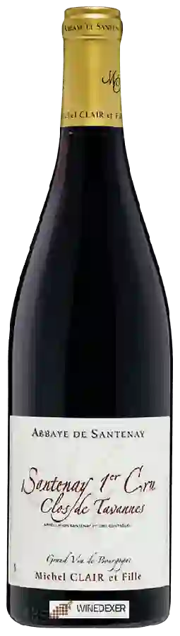 Domaine de l’Abbaye de Santenay - Santenay 1er Cru 'Clos de Tavannes'
