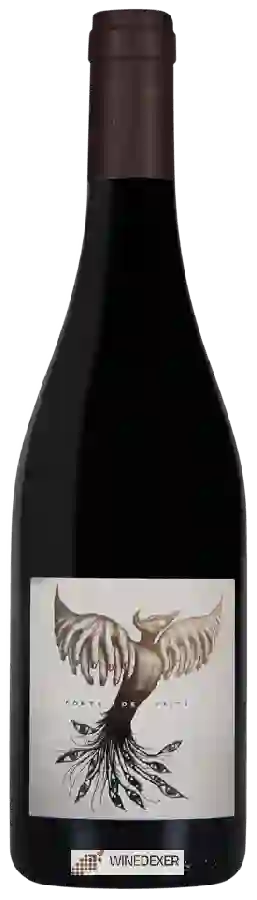 Domaine de L'Ambitio - Conte de Faits
