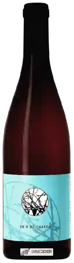 Domaine de la Barthassade - Clos de la Barthassade - Un R de Chardo