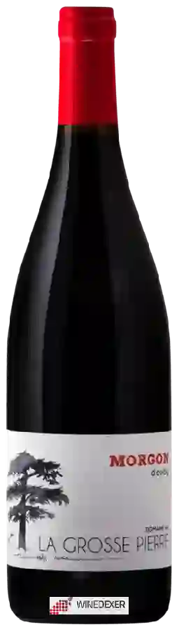 Domaine de la Grosse Pierre - Morgon Douby
