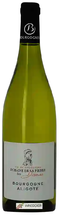 Domaine de la Pierre des Dames - Bourgogne Aligoté