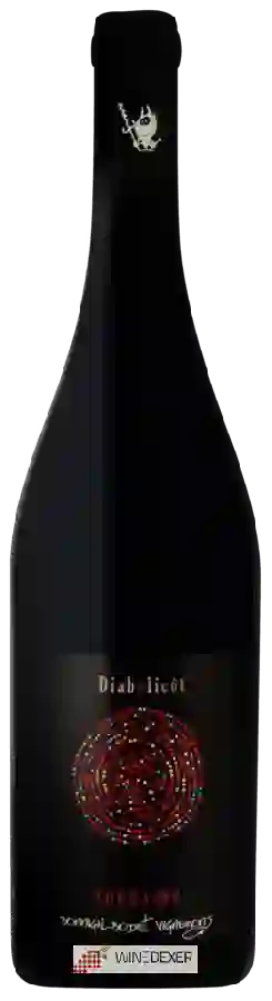 Domaine de la Prévoté - Bonnigal et Bodet Vignerons - Diabolicôt Touraine Domaine de la Prévoté - Bonnigal et Bodet Vignerons - Diabolicôt Touraine