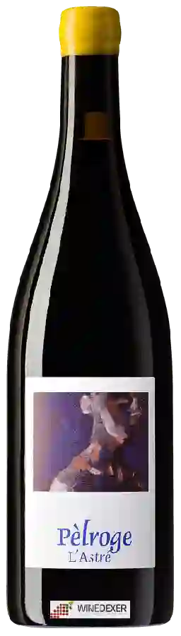 Domaine de L'Astré - P&egravelroge