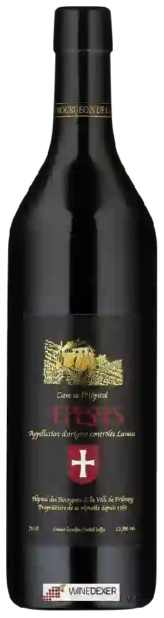 Cave de l'Hôpital - Epesses