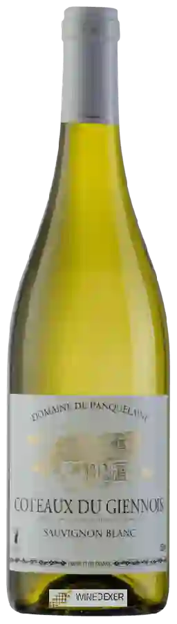 Domaine de Panquelaine - Coteaux du Giennois Sauvignon Blanc