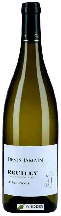 Domaine de Reuilly - Denis Jamain - Les Coignons Reuilly