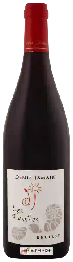 Domaine de Reuilly - Denis Jamain - Les Fossiles Reuilly Rouge