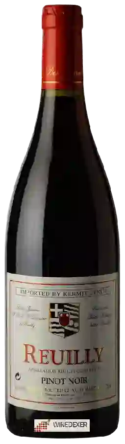 Domaine de Reuilly - Denis Jamain - Reuilly Pinot Noir Domaine de Reuilly - Denis Jamain - Reuilly Pinot Noir