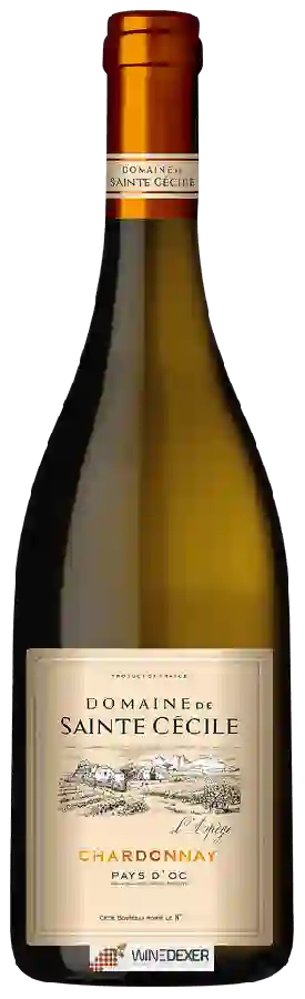 Domaine de Sainte Cécile - L'Arpège Chardonnay Domaine de Sainte Cécile - L'Arpège Chardonnay