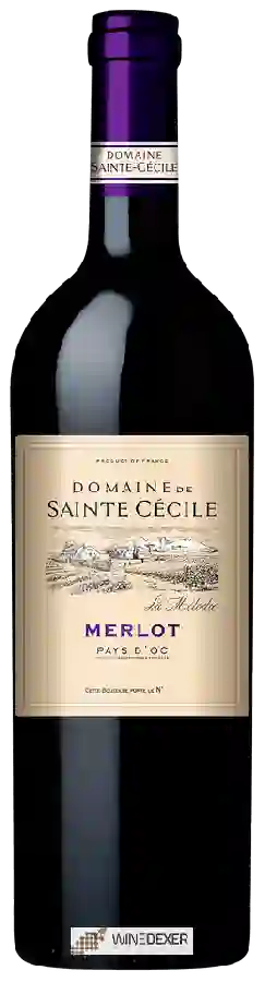 Domaine de Sainte Cécile - La Mélodie Merlot Domaine de Sainte Cécile - La Mélodie Merlot