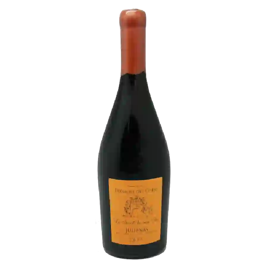 Domaine des Chers - Le Secret de Mon Pére Juliénas Domaine des Chers - Le Secret de Mon Pére Juliénas