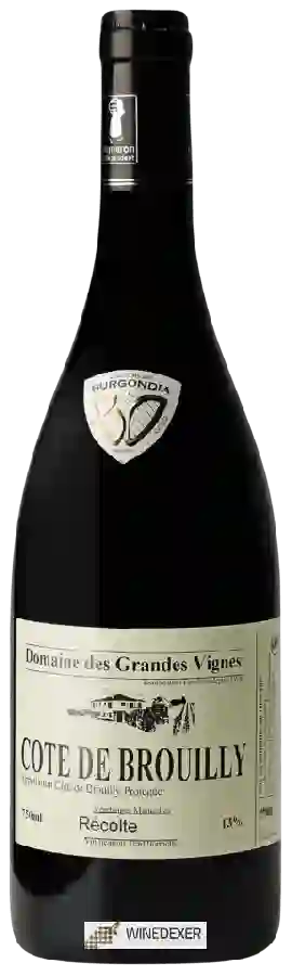 Domaine des Grandes Vignes - Côte de Brouilly