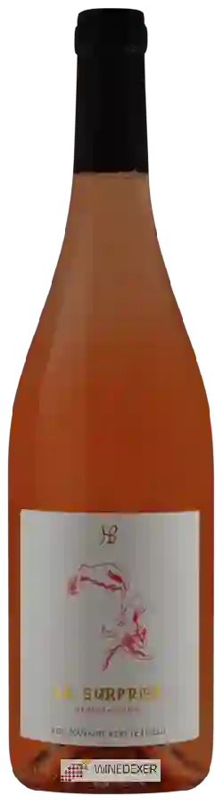 Winery Hauts Baigneux - La Surprise