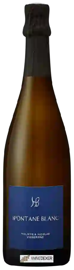 Winery Hauts Baigneux - Spontané Blanc