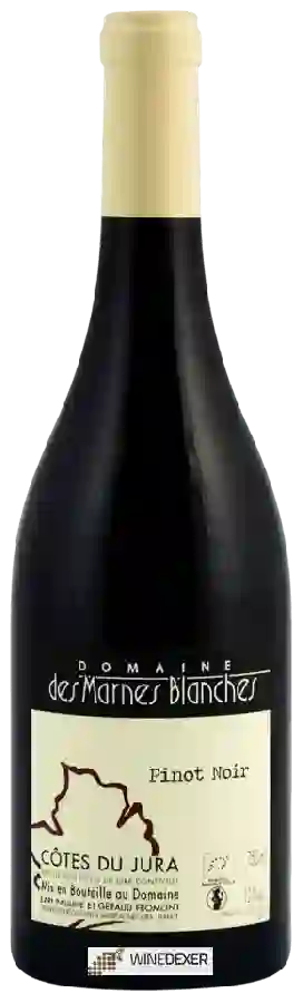 Domaine des Marnes Blanches - Côtes du Jura Pinot Noir