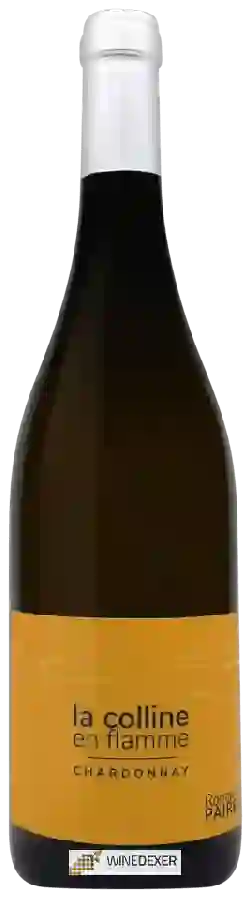 Domaine des Pothiers - Romain Paire La Colline en Flamme Chardonnay Domaine des Pothiers - Romain Paire La Colline en Flamme Chardonnay