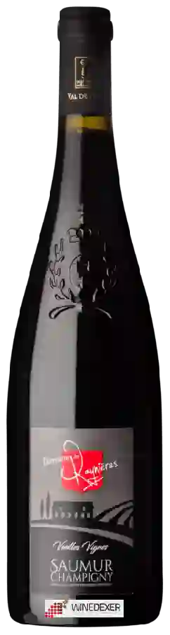 Domaine des Raynieres - Vieilles Vignes Saumur Champigny Domaine des Raynieres - Vieilles Vignes Saumur Champigny