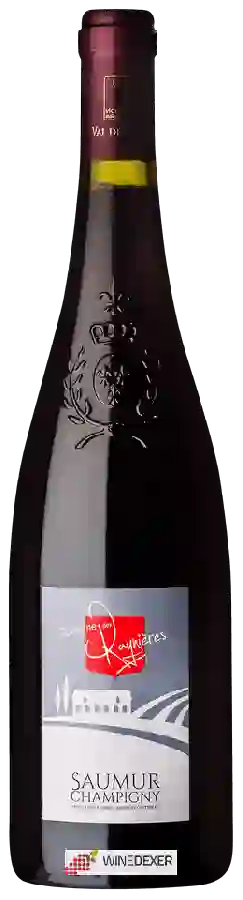 Domaine des Raynieres - Saumur Champigny