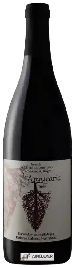 Winery Dolores Cabrera Fernandez - La Araucaria Tinto