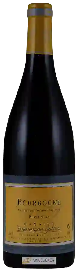 Domaine Dominique Gallois - Pinot Noir Bourgogne