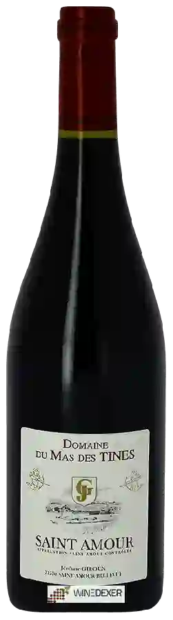 Domaine du Mas des Tines - Saint Amour
