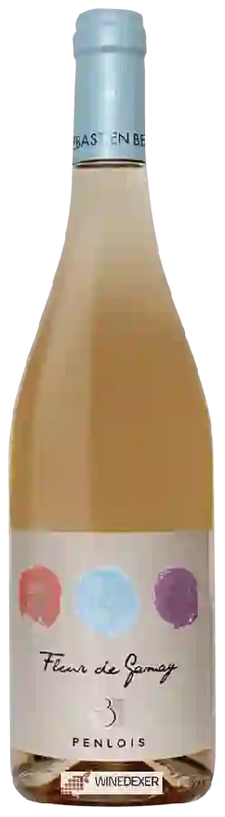 Domaine du Penlois - Fleur de Gamay Rosé Domaine du Penlois - Fleur de Gamay Rosé