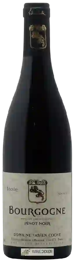 Domaine Fabien Coche (Domaine Coche-Bizouard) - Bourgogne Pinot Noir Domaine Fabien Coche (Domaine Coche-Bizouard) - Bourgogne Pinot Noir