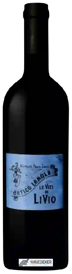 Winery Fattoria di Lamole - Le Viti di Livio Winery Fattoria di Lamole - Le Viti di Livio