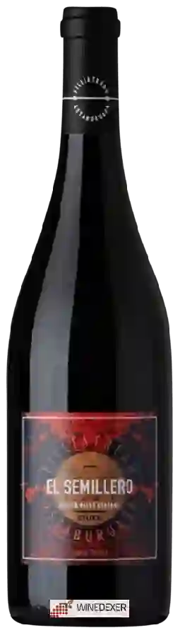 Winery Filliatreau - El Semillero Santa Teresa Astaburuaga