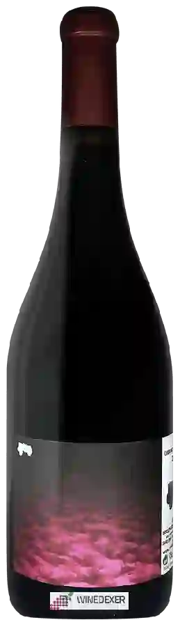 Domaine Finot - Cabernet Sauvignon