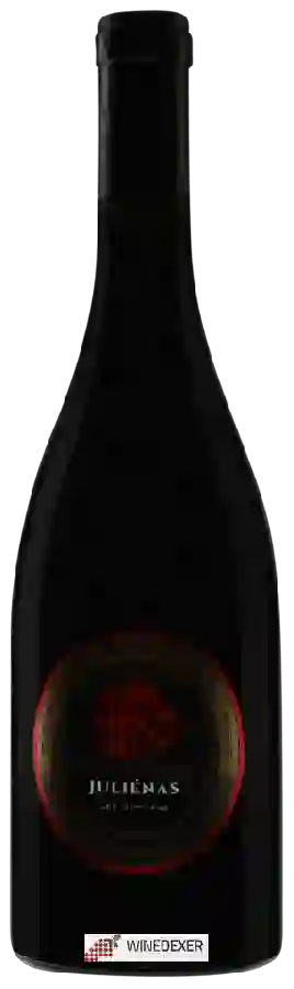 Domaine François 1er - Juliénas Les Capitans