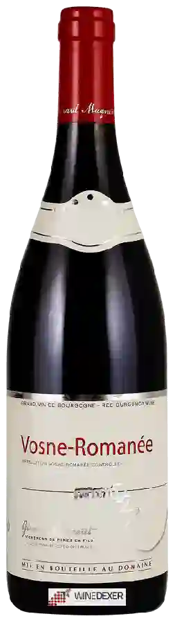 Winery Gérard Mugneret - Vosne-Romanée