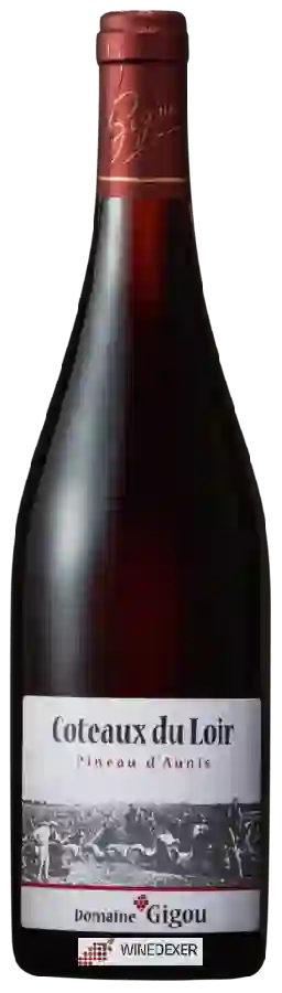 Domaine Gigou - Coteaux du Loir Pineau d'Aunis Domaine Gigou - Coteaux du Loir Pineau d'Aunis