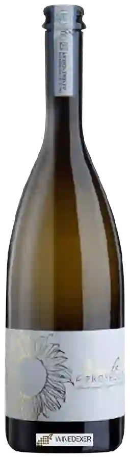 Winery Girasole - Prosecco Winery Girasole - Prosecco