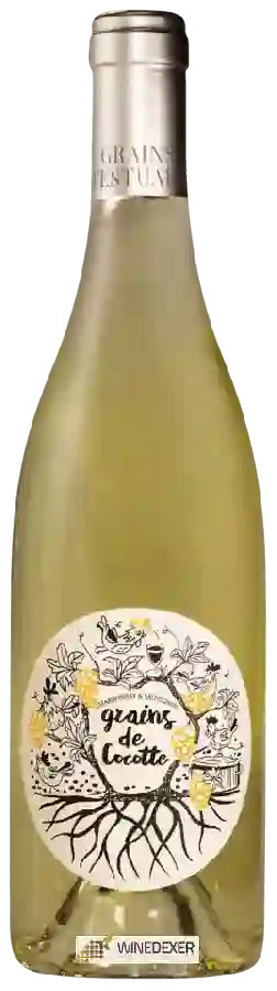 Domaine Grains d'Estuaire - Grains de Cocotte Chardonnay - Sauvignon