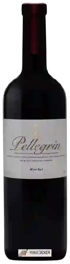 Domaine Grand'Cour - Pellegrin - Merlot