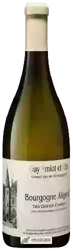 Winery Amiot Guy - Bourgogne Aligoté 'Les Grands Champs'