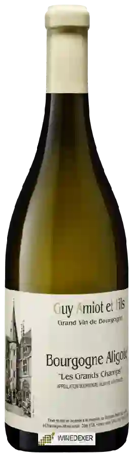Winery Amiot Guy - Bourgogne Aligoté 'Les Grands Champs'