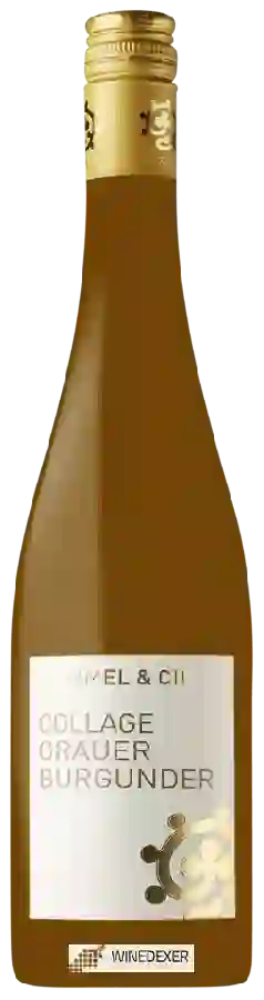 Winery Hammel & Cie - Collage Grauer Burgunder