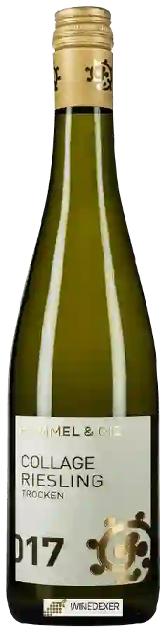 Winery Hammel & Cie - Collage Riesling Trocken