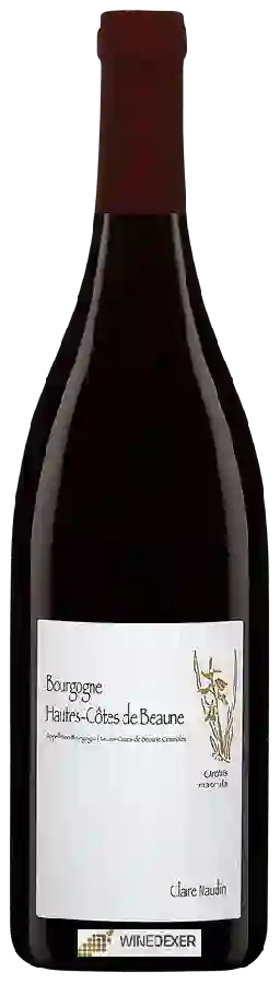 Winery Henri Naudin-Ferrand - Orchis Mascula