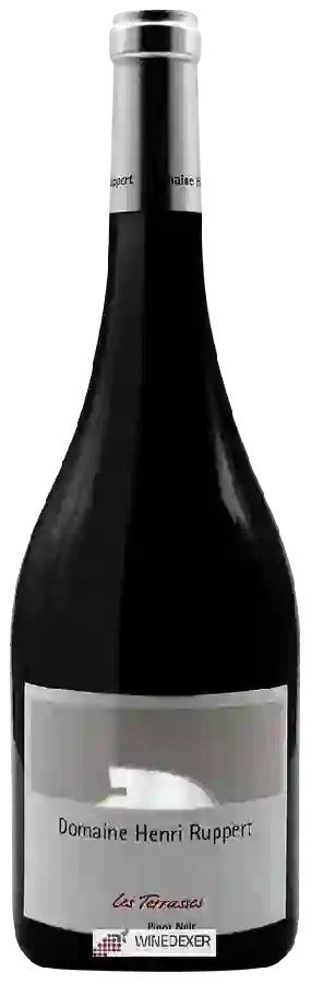 Domaine Henri Ruppert - Les Terrasses Pinot Noir