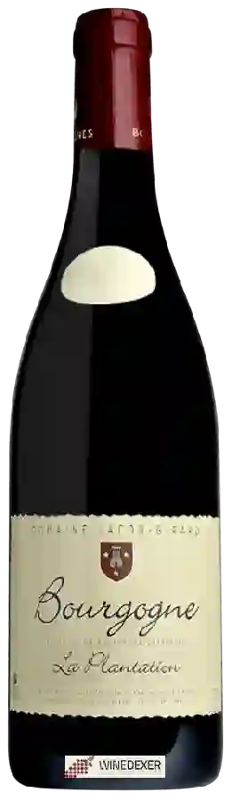 Domaine Jacob-Girard - La Plantation Bourgogne