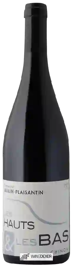 Domaine Jaulin-Plaisantin - Les Hauts & Les Bas Chinon