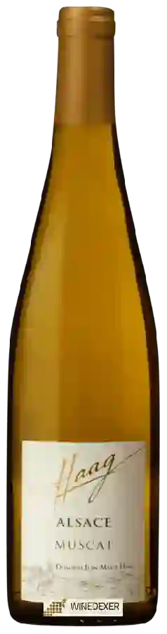 Domaine Jean-Marie Haag - Muscat Domaine Jean-Marie Haag - Muscat