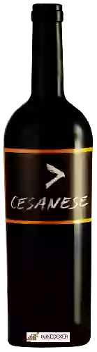 Winery l'Olivella - Cesanese