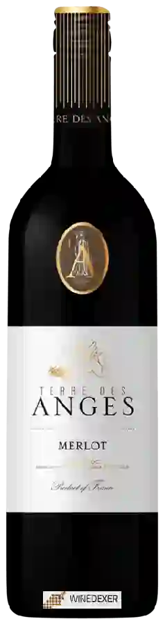 Domaine La Grange Le Haut - Terre des Anges Merlot