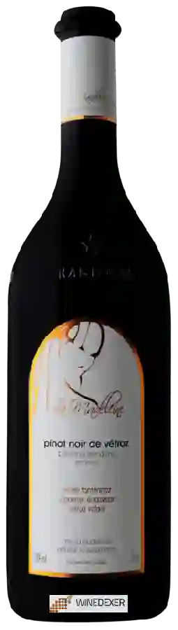 Winery La Madeleine - Pinot Noir de Vétroz Balavaud Grand Cru Winery La Madeleine - Pinot Noir de Vétroz Balavaud Grand Cru