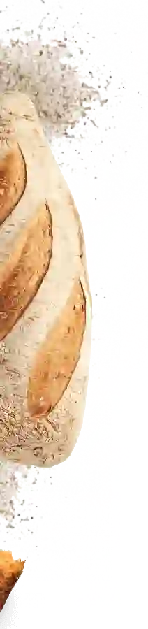 Domaine La Maurine - Engouement Domaine La Maurine - Engouement