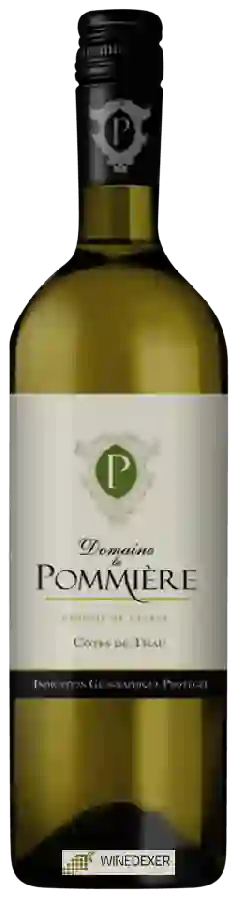 Domaine la Pommière - Côtes de Thau Blanc